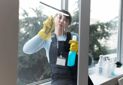 Nettoyage de vitres intérieures et extérieures à Hauriet